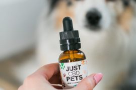CBD Treats to Relax Both You and Your Pet